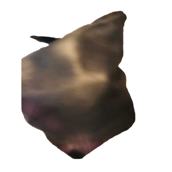 Coach black leather bag adjustable strap silver hardware & hang tag Y2K - Picture 8 of 14